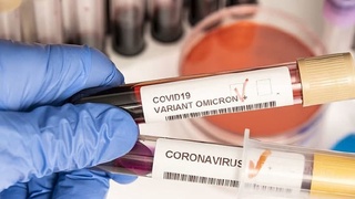 «Омикрон» штамы бойынша түпкілікті қорытынды жасауға әлі ерте