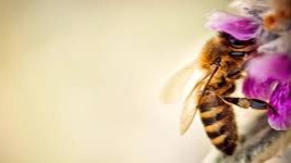 Хавфли касалликнинг оддий давоси топилди