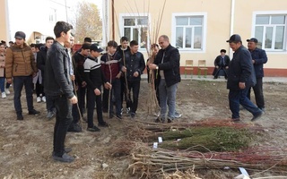 ФАО поддержала реализацию в Узбекистане программы «Яшил макон»