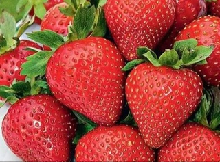 Ежедневное употребление клубники может улучшить память