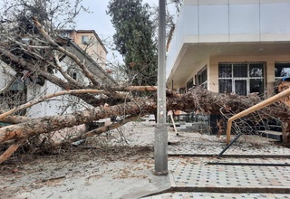 Кучли шамол оқибатида энергетика тизимида авариялар юз берди
