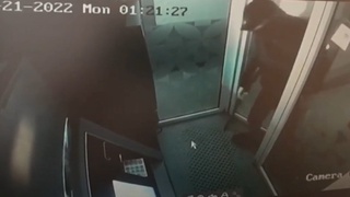 Sirdaryoda bankomatdan pul oʻgʻirlagan talabalar qamaldi