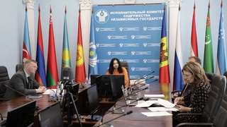 Эксперты СНГ обсудили эпидемиологическую ситуацию, связанную с распространением оспы обезьян