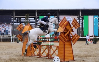 В Узбекистане откроется Карабаирская школа конного мастерства