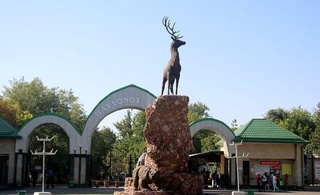 Ўзбекистонда нечта ҳайвонот боғи бор. Уларда қанча жонзотлар мавжуд?