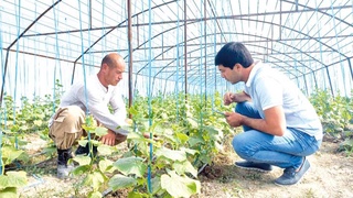 Знаете ли вы лидера молодежи своей махалли?