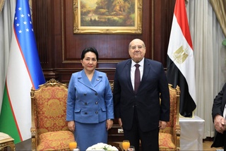 Раиси Сенати Олий Маҷлис бо Раиси Сенати Ҷумҳурии Мисри Араб мулоқот кард