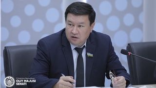 Сенатнинг Халқаро муносабатлар, ташқи иқтисодий алоқалар, хорижий инвестициялар ва туризм масалалари қўмитаси мажлиси бўлиб ўтди