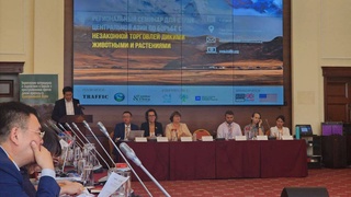 Bishkek hosts seminar on combating illegal trade in wild animals and plants