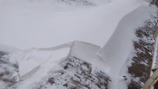 Ўзбекистоннинг шимолий қисмида қор ёғмоқда