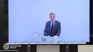 Сенат одобрил присоединение к международному соглашению по оливковому маслу и столовым оливкам