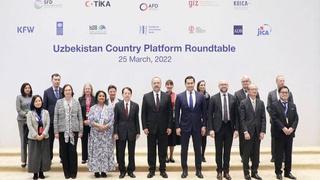 Страновая платформа - площадка для координации усилий по укреплению сотрудничества