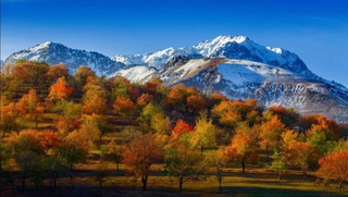 Эртага Андижон, Наманган, Фарғона вилоятларининг баъзи жойларида ёмғир ёғиши мумкин