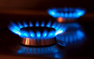 Buxoro va Toshkent viloyatlarida energiya resurslariga noqonuniy ulangan issiqxonalar fosh etildi