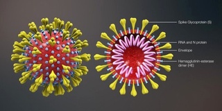 ЎзФА олимлари томонидан COVID-19 РНКсини ажратиш диагностик тўплам ишлаб чиқилди