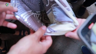 Qoʻyliq bozorida sharq boʻgʻma ilonlari noqonuniy sotilayotganligi maʼlum boʻldi