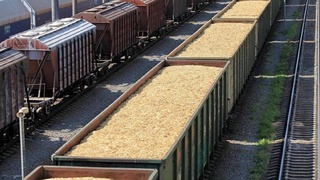 Казахстан в январе экспортирует в Узбекистан 1,2 млн тонн зерна