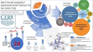 Инфографика: структура местного бюджета Джизакской области на 2022 год