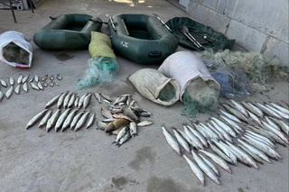 Тошкент денгизида ноқонуний балиқ овлаган шахслар жаримага тортилди