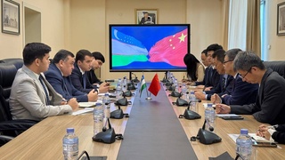 Uzbekistan and China discussed expansion of cooperation in the field of energy and investments