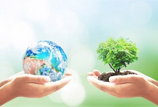 Экология ва атроф-муҳитни муҳофаза қилишга ажратилаётган маблағлар нималарга сарфланяпти?