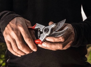 In Ferghana, the son beat the mother and cut off her fingers