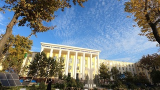 В ТУИТ откроется новое направление бакалавриата