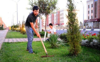  21 август — умумхалқ ободонлаштириш хайрия ҳашари куни этиб белгиланди