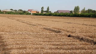 Takroriy ekin qoʻshimcha daromad, toʻkinlik manbai