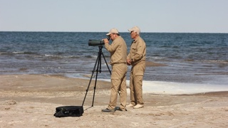 Окружающую среду можно спасти, используя экологические традиции