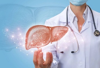 The diseases that can cause the accumulation of fat in the liver are named