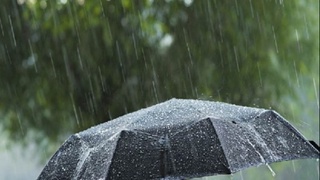 Бугун баъзи ҳудудларда кучли ёмғир ёғиши мумкин