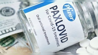 В ЕС одобрили использование COVID-таблеток от «Pfizer»