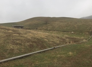 Тошкент шаҳри ва Хоразм вилоятида ер майдонларини сотмоқчи бўлган фирибгарлар ушланди