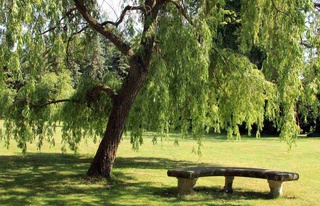 “Yuksalish” harakati havo ifloslanishi holatini yaxshilash boʻyicha tezkor choralar taklif etadi
