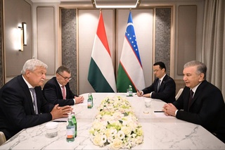 Мемлекет басшысы «OTP Bank Group» директорлар кеңесінің төрағасымен кездесті