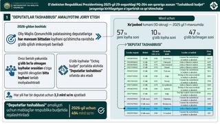 В рамках «Инициативного бюджета» будет внедрена практика «Депутатская инициатива»