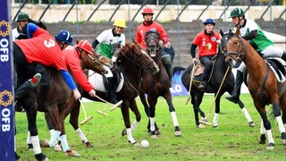 Состоялся розыгрыш «Кубка хокима Ташкентской области» по поло