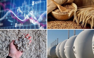 На Узбекской республиканской товарно-сырьевой бирже снизились цены на пшеницу, технические семена и сжиженный газ