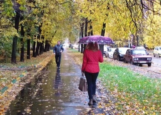 Weather forecast for November 29