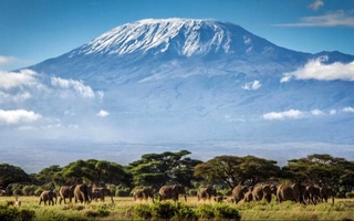 Afrikaning eng baland tog'ida yuqori tezlikdagi internet ishga tushirildi