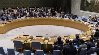 Единодушие в Совете Безопасности ООН: остановить конфликты, чтобы вакцинировать население от Covid-19