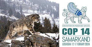 Утвержден логотип и слоган Конференции по сохранению мигрирующих видов диких животных, которая пройдет в Самарканде