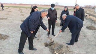 Молодые навоийские ученые заложили сад