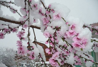 Прогноз погоды на 18 марта