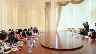 Первый заместитель Председателя Cената Олий Мажлиса встретился с Послом Японии