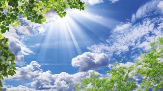 От экологических патрулей до новых заповедных зон