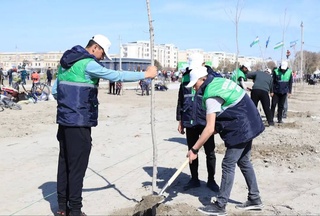 В парке «Новый Узбекистан» Бухарской области посадили около шести тысяч саженцев деревьев