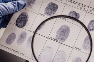 The Criminology Research Institute will provide paid services