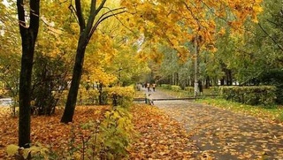 Weather forecast for November 18th